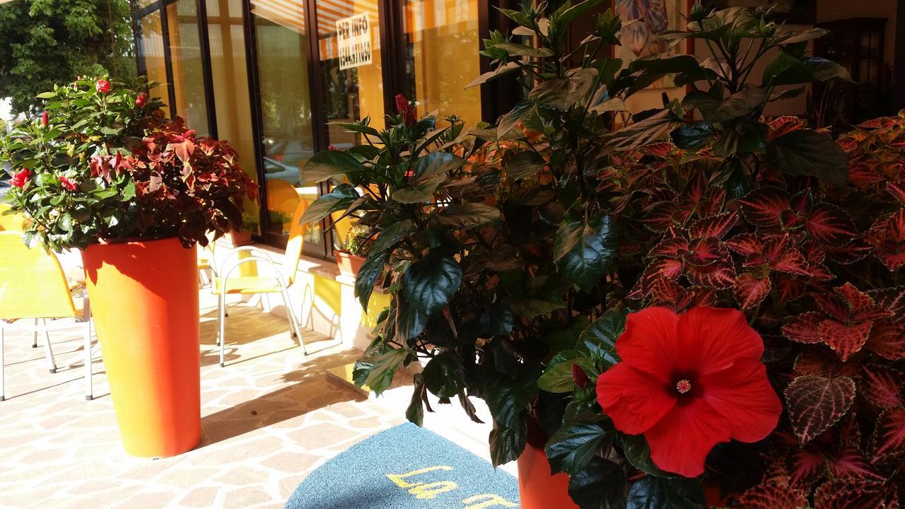 Hotel La Falena 체르비아 외부 사진